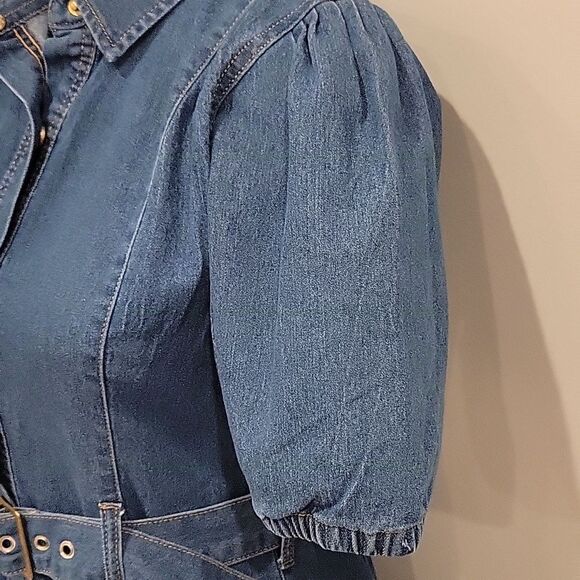 Denim Button-Up Belted Dress - Picture 3 of 6